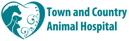 Town and Country Animal Hospital